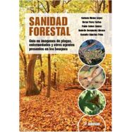 SANIDAD FORESTAL. Guía en Imágenes de plagas, enfermedades y otros agentes presentes en los bosques