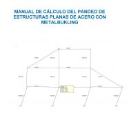 PROGRAMA METALBUCKLING- Cálculo a Pandeo de Estructuras Planas
