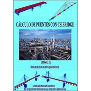 CÁLCULO DE PUENTES CON CSIBRIDGE. Con aplicaciones prácticas Tomo II